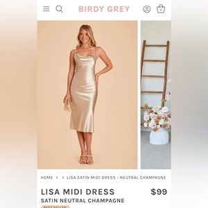 Birdy Grey Lisa Midi Dress XL Champagne